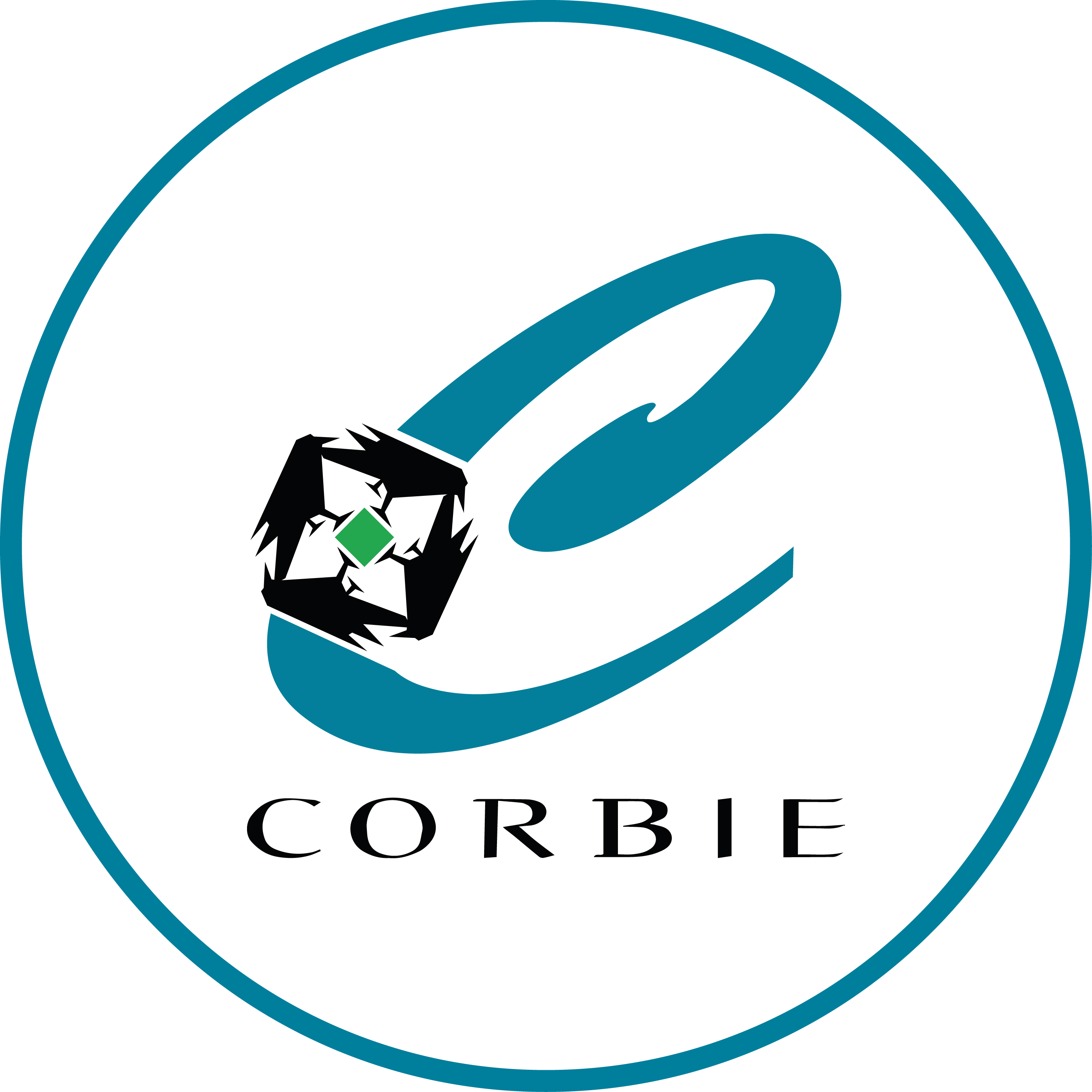 Ville de Corbie