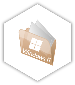 Windows 11