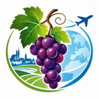 Emblème voyage et vignoble en couleurs.png
