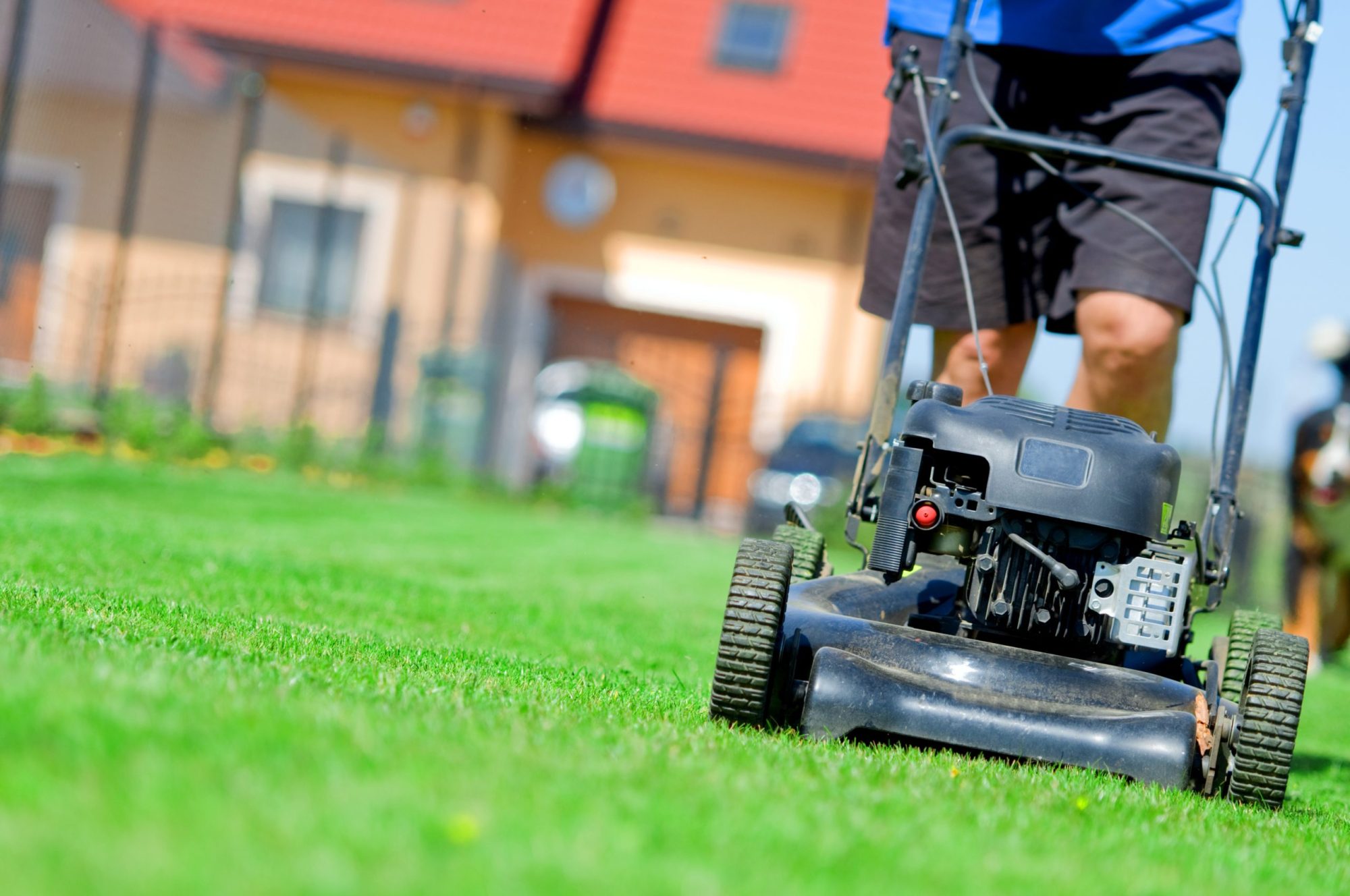 Mowing the lawn