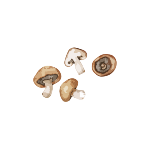 Champignons